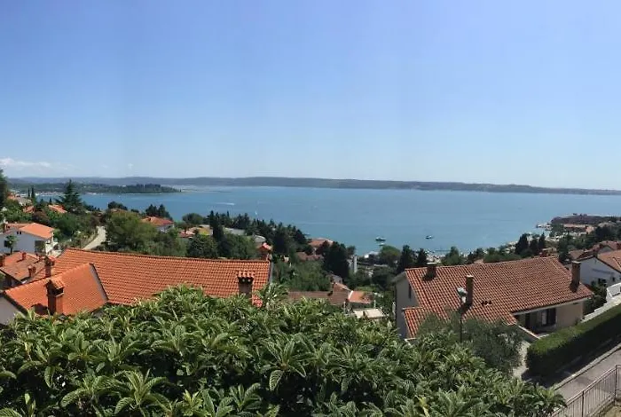 Апартаменты Elza *